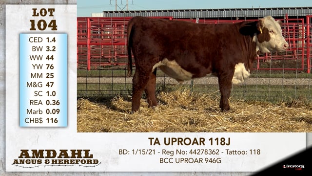 Lot #104 - TA UPROAR 118J