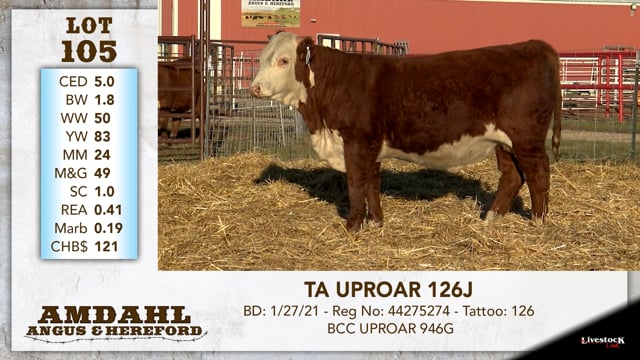 Lot #105 - TA UPROAR 126J