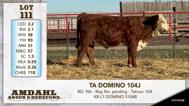 Lot #111 - TA DOMINO 104J