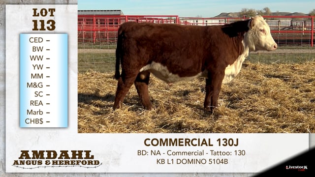Lot #113 - COMMERCIAL 130J
