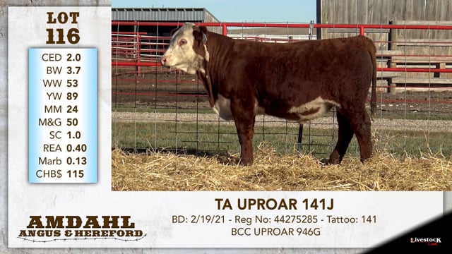 Lot #116 - TA UPROAR 141J