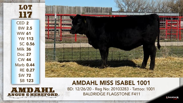 Lot #117 - AMDAHL MISS ISABEL 1001
