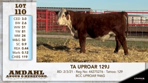 Lot #110 - TA UPROAR 129J