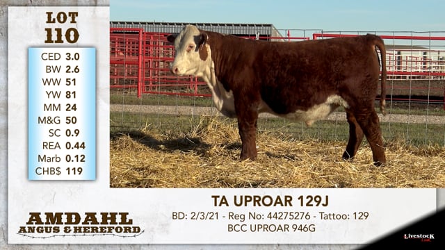 Lot #110 - TA UPROAR 129J