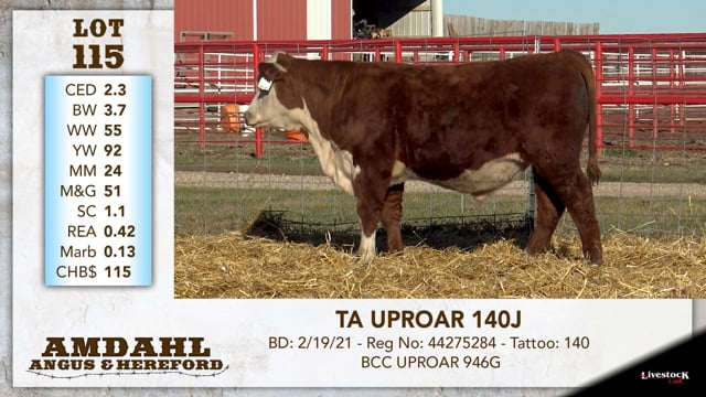 Lot #115 - TA UPROAR 140J