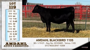 Lot #119 - AMDAHL BLACKBIRD 1105