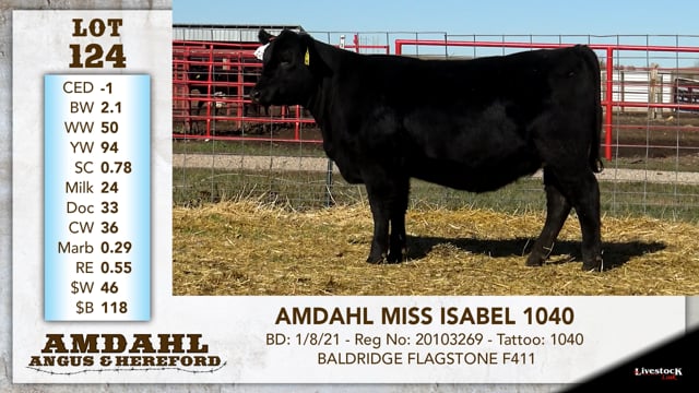Lot #124 - AMDAHL MISS ISABEL 1040