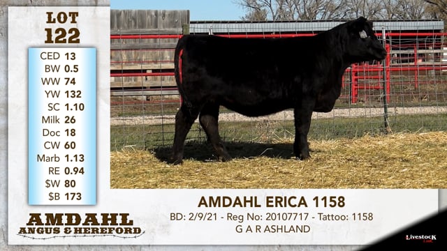 Lot #122 - AMDAHL ERICA 1158
