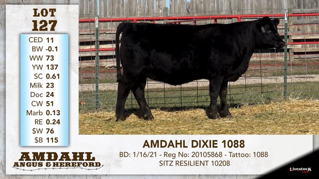 Lot #127 - AMDAHL DIXIE 1088