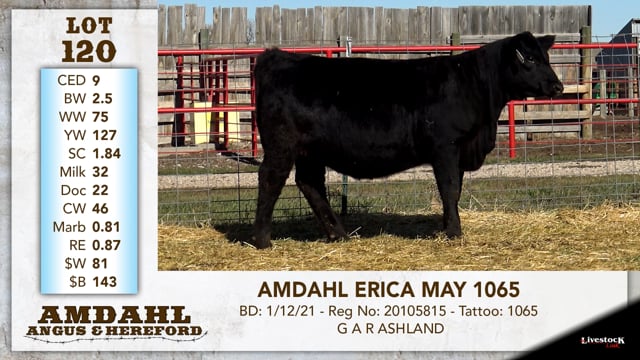 Lot #120 - AMDAHL ERICA MAY 1065