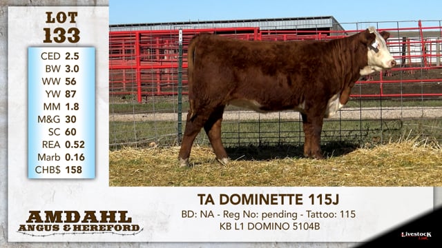 Lot #133 - TA DOMINETTE 115J