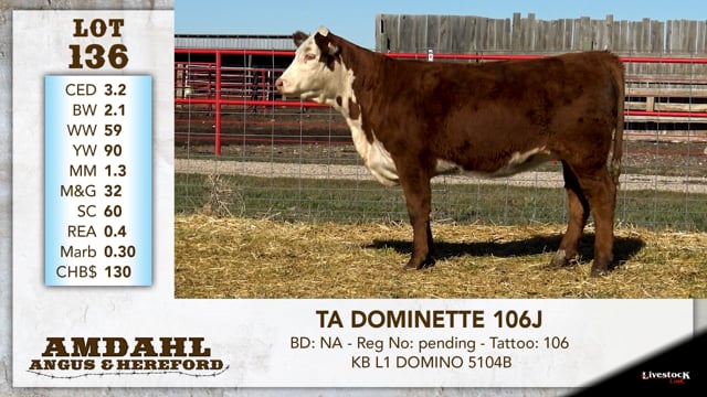 Lot #136 - TA DOMINETTE 106J