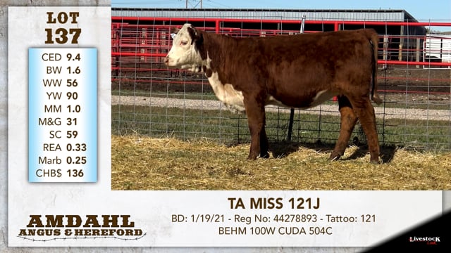 Lot #137 - TA MISS 121J