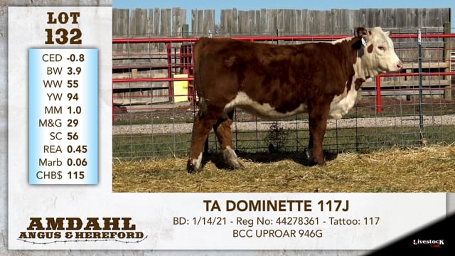 Lot #132 - TA DOMINETTE 117J