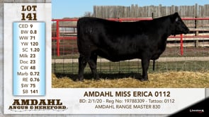 Lot #141 - AMDAHL MISS ERICA 0112