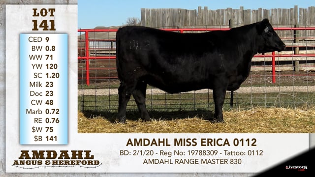 Lot #141 - AMDAHL MISS ERICA 0112