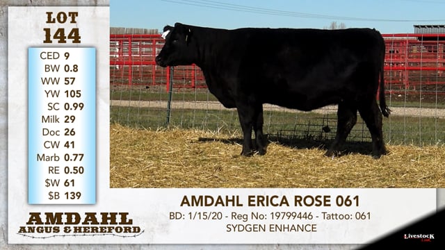 Lot #144 - AMDAHL ERICA ROSE 061