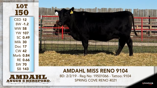 Lot #150 - AMDAHL MISS RENO 9104