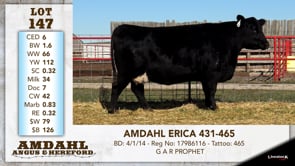 Lot #147 - AMDAHL ERICA 431-465