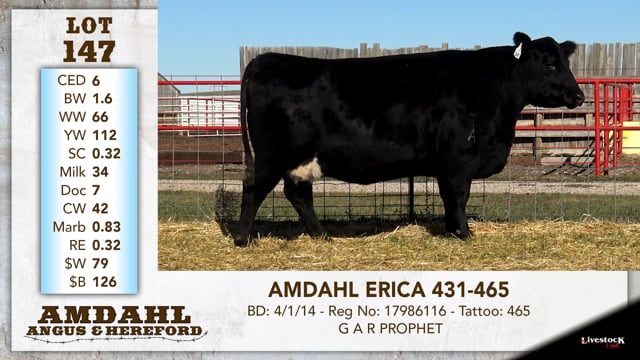 Lot #147 - AMDAHL ERICA 431-465