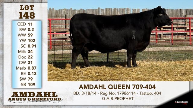 Lot #148 - AMDAHL QUEEN 709-404