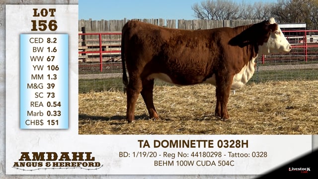 Lot #156 - TA DOMINETTE 0328H