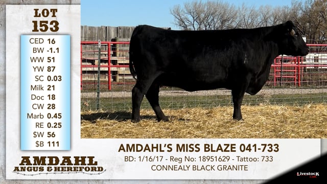 Lot #153 - AMDAHL'S MISS BLAZE 041-733