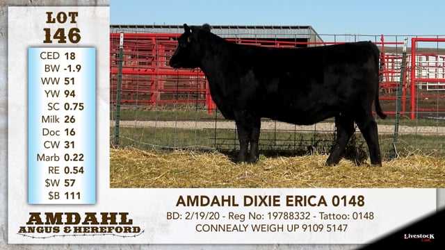 Lot #146 - AMDAHL DIXIE ERICA 0148