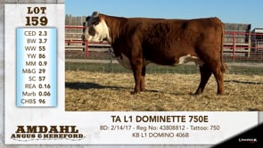 Lot #159 - TA L1 DOMINETTE 750E