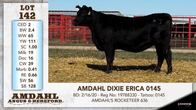 Lot #142 - AMDAHL DIXIE ERICA 0145 ***OUT OF SALE***