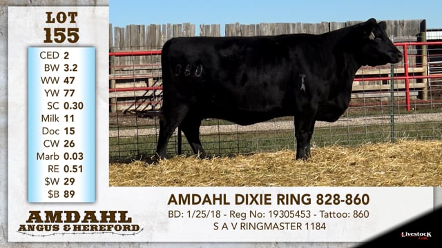 Lot #155 - AMDAHL DIXIE RING 828-860