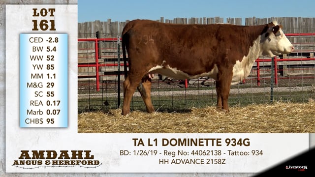 Lot #161 - TA L1 DOMINETTE 934G