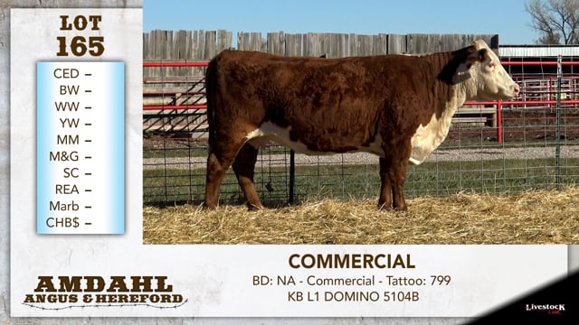 Lot #165 - COMMERCIAL