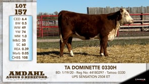 Lot #157 - TA DOMINETTE 0330H
