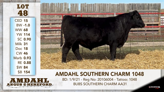 Lot #48 - AMDAHL SOUTHERN CHARM 1048