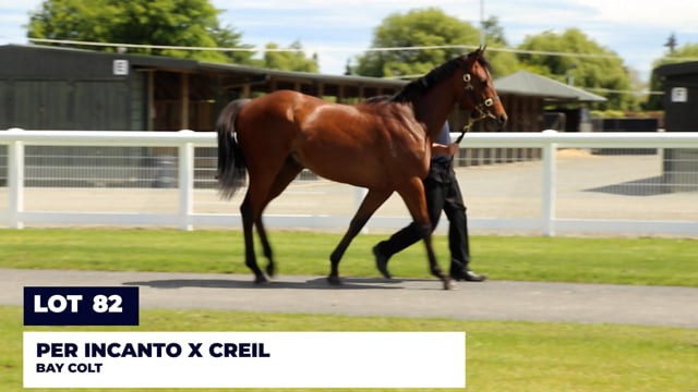 Lot 82