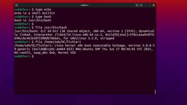 Lancez Des Commandes Sous Bash - Administrez Un Système Linux ...