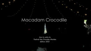 MACADAM CROCODILE