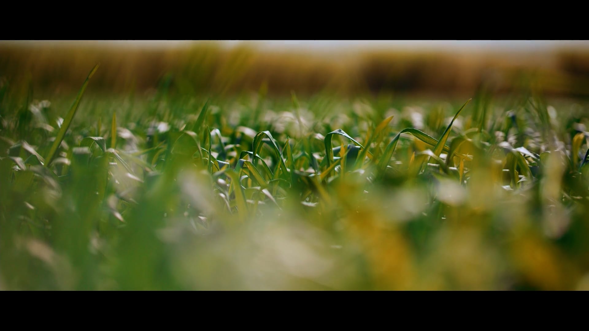 REACH HIGHER - GRAND VALLEY STATE UNIVERSITY