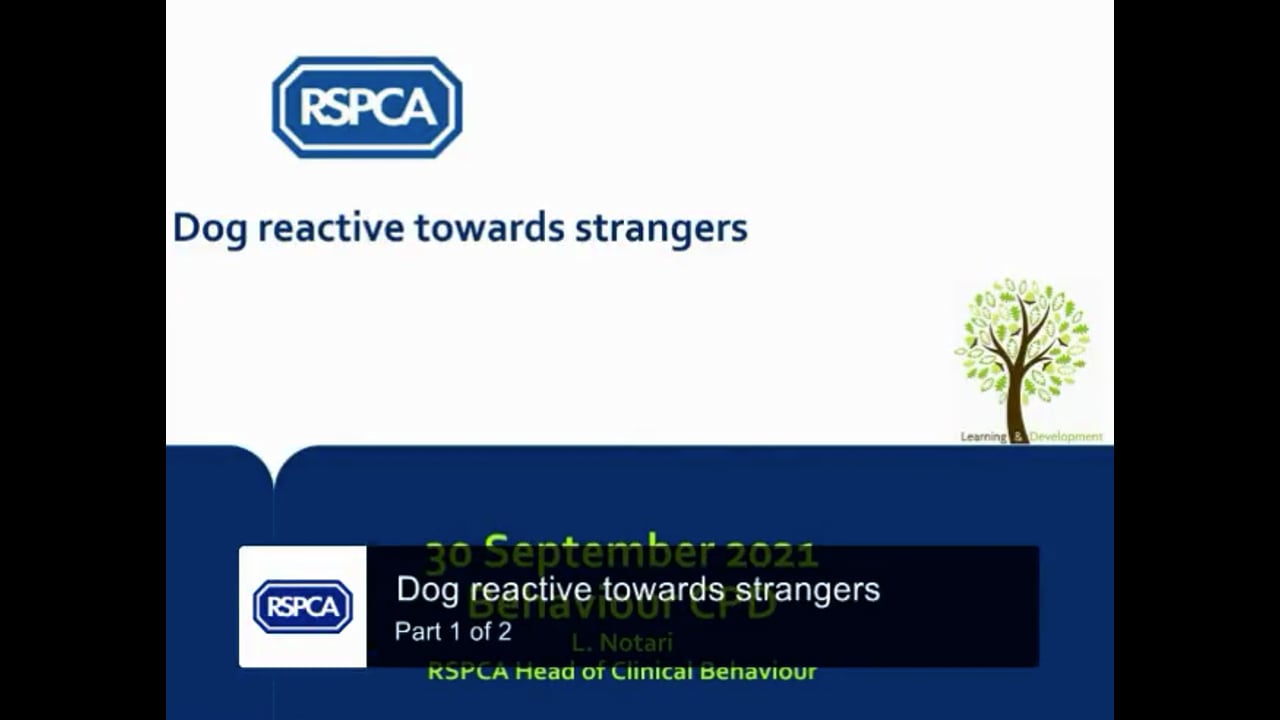 Dog reactive towards strangers  Part 1 of 2 - RSPCA Staff Contributors