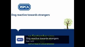 Dog reactive towards strangers  Part 1 of 2