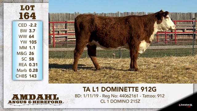Lot #164 - TA L1 DOMINETTE 912G