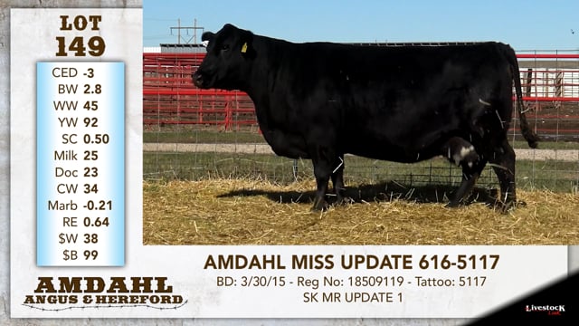 Lot #149 - AMDAHL MISS UPDATE 616-5117
