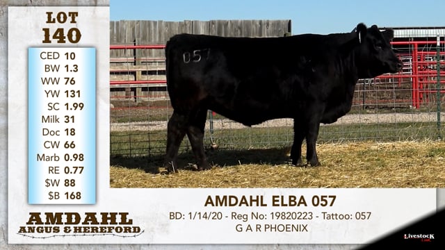 Lot #140 - AMDAHL ELBA 057