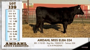 Lot #139 - AMDAHL MISS ELBA 034