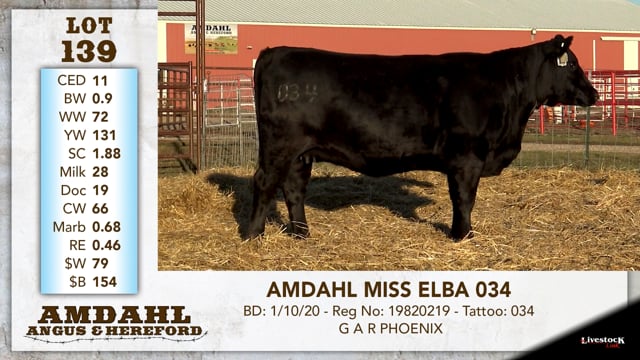 Lot #139 - AMDAHL MISS ELBA 034