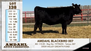 Lot #138 - AMDAHL BLACKBIRD 007