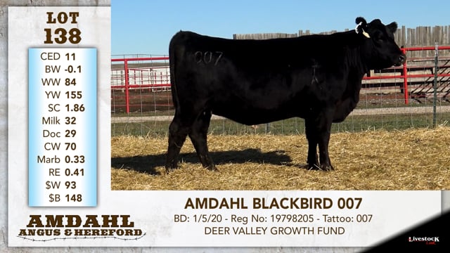 Lot #138 - AMDAHL BLACKBIRD 007