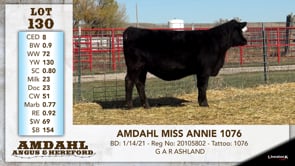 Lot #130 - AMDAHL MISS ANNIE 1076