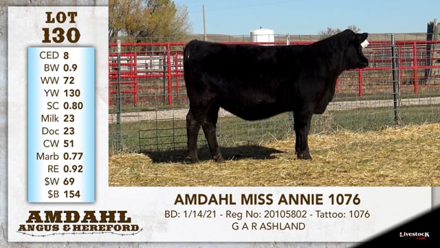 Lot #130 - AMDAHL MISS ANNIE 1076